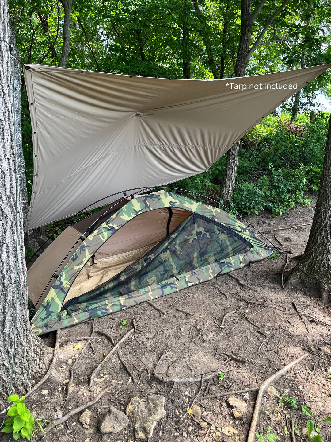 High View of Tent